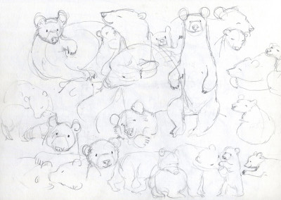 Bear Studies