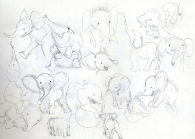 Elephant Studies